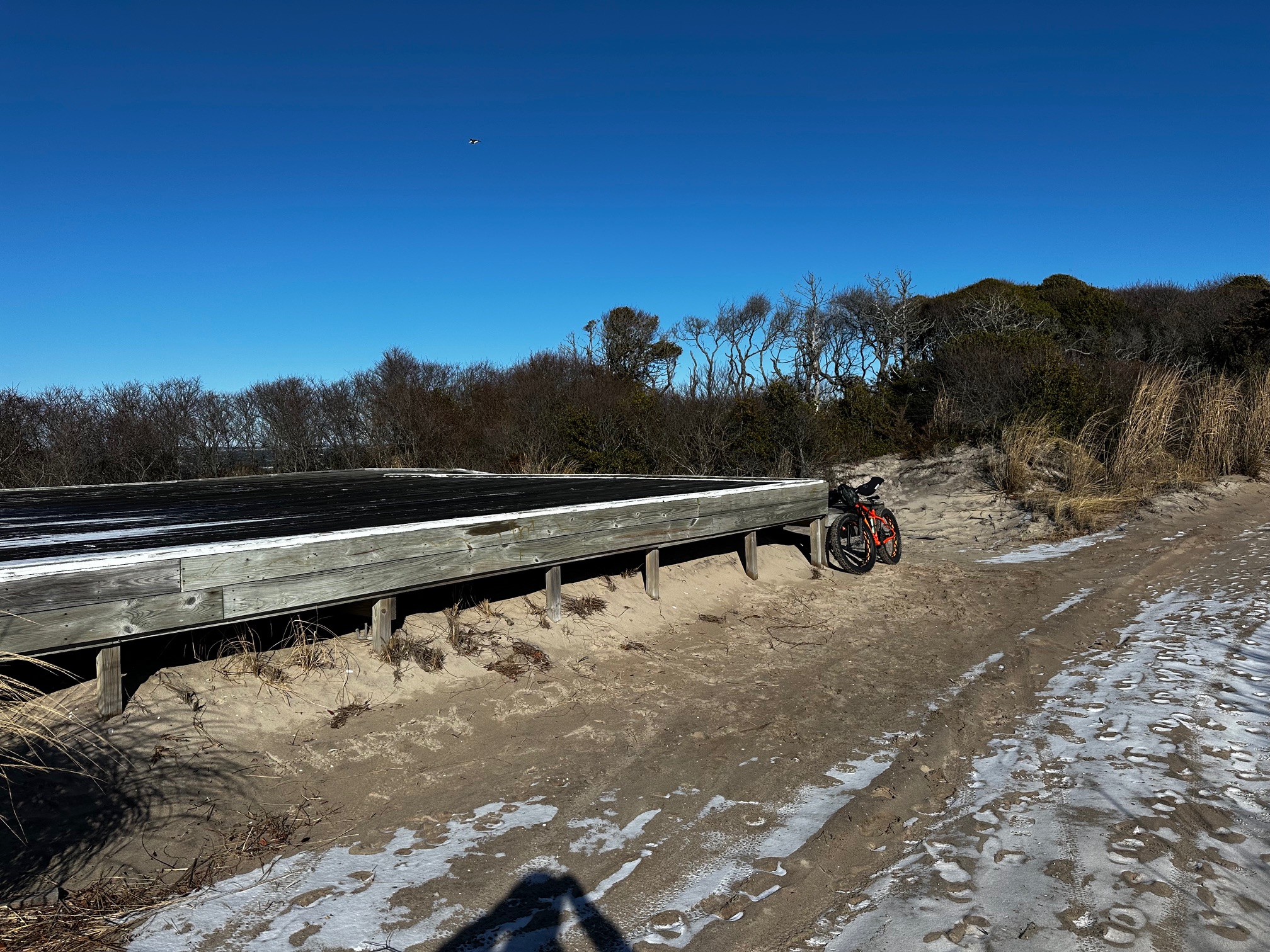 New Year's Day All Alone